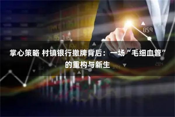 掌心策略 村镇银行撤牌背后：一场“毛细血管”的重构与新生